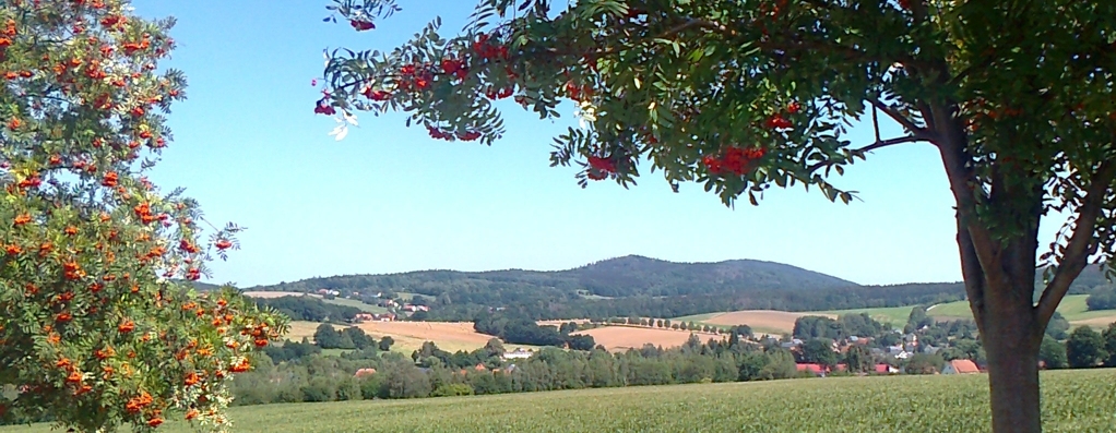 Blick von der Ostbank in Sonnenberg zum Bieleboh